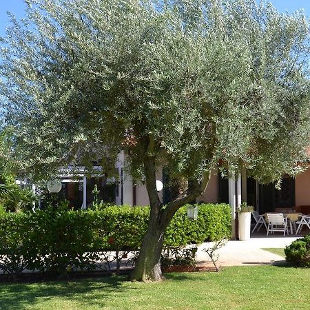 Villa Paola Fontane Bianche Εξωτερικό φωτογραφία